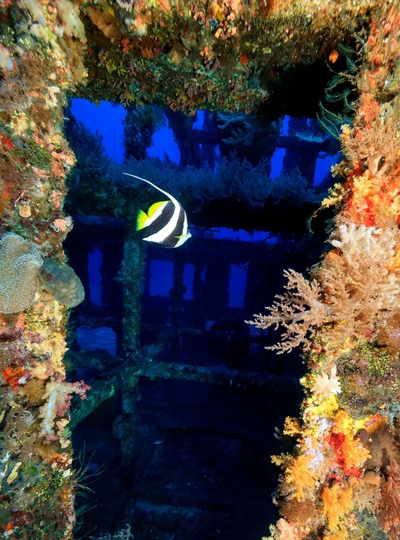 潛入綠島