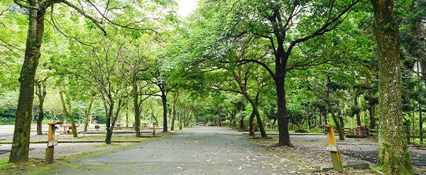 白雞山行修宮(可走森林步道)→三峽老街→NINE SKY咖啡廳→前往營地→BBQ野餐→返程